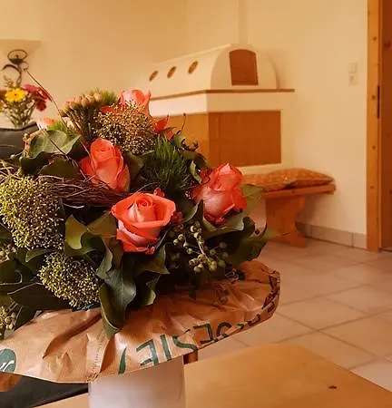 Haus Aschenwald Nyaraló Kitzbühel